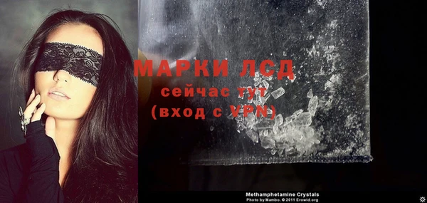 стаф Арсеньев