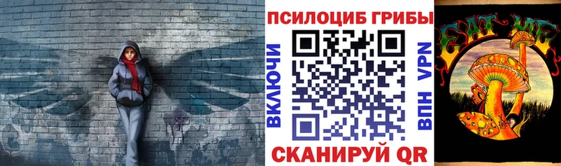 Псилоцибиновые грибы Psilocybe Верхний Уфалей